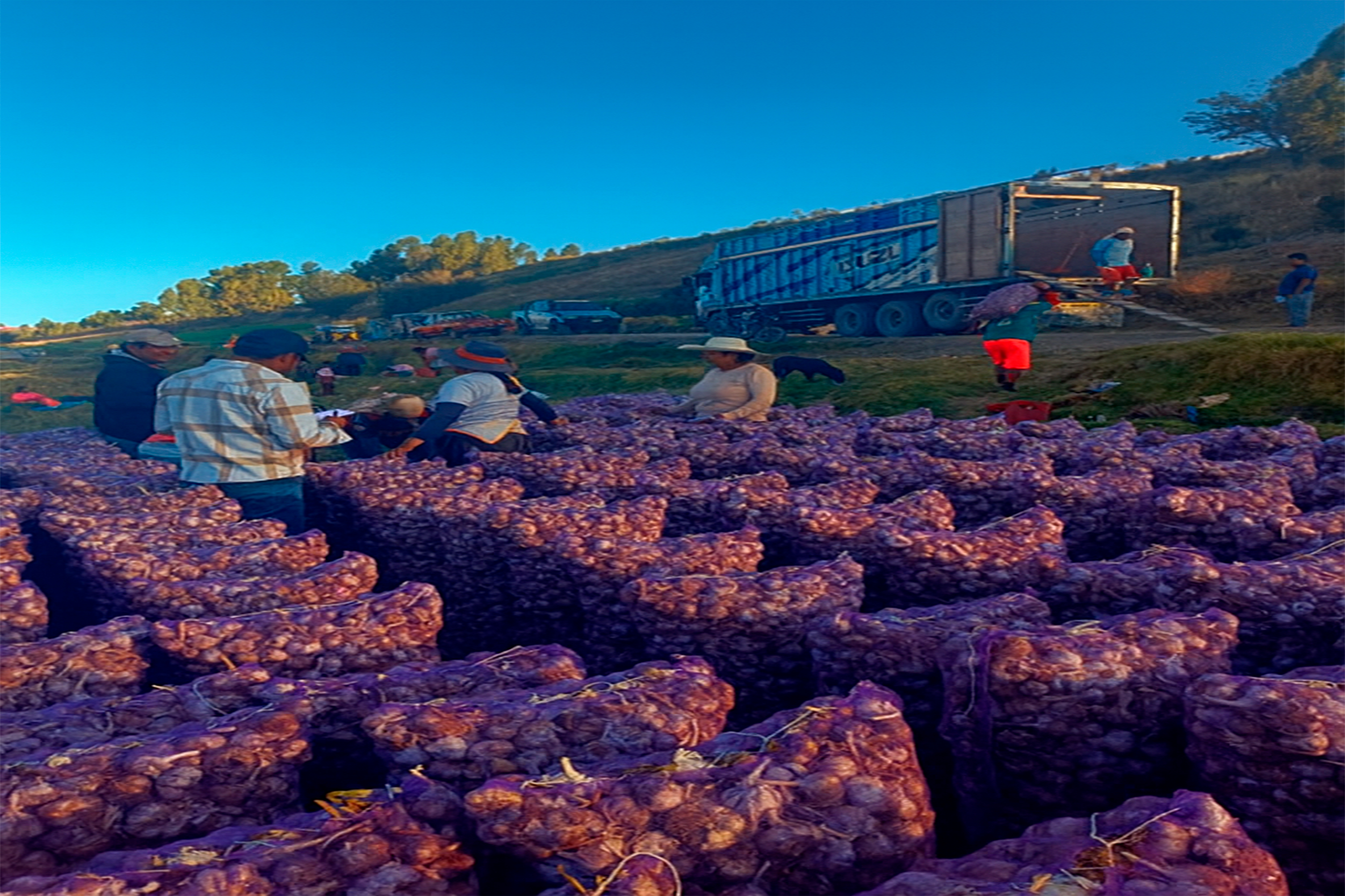 Agricultura sostenible