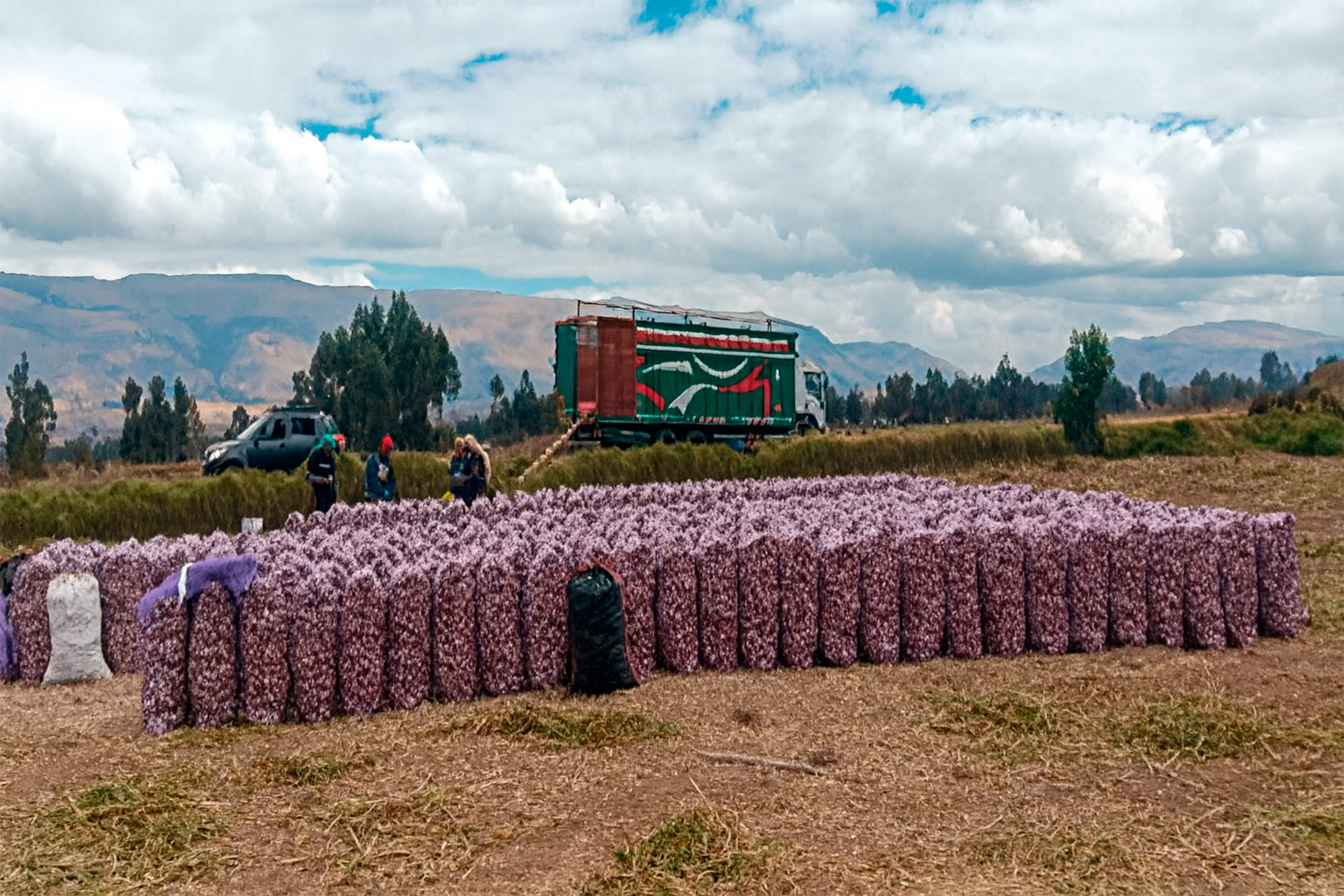 Exportación de productos
